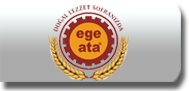 Ege ata