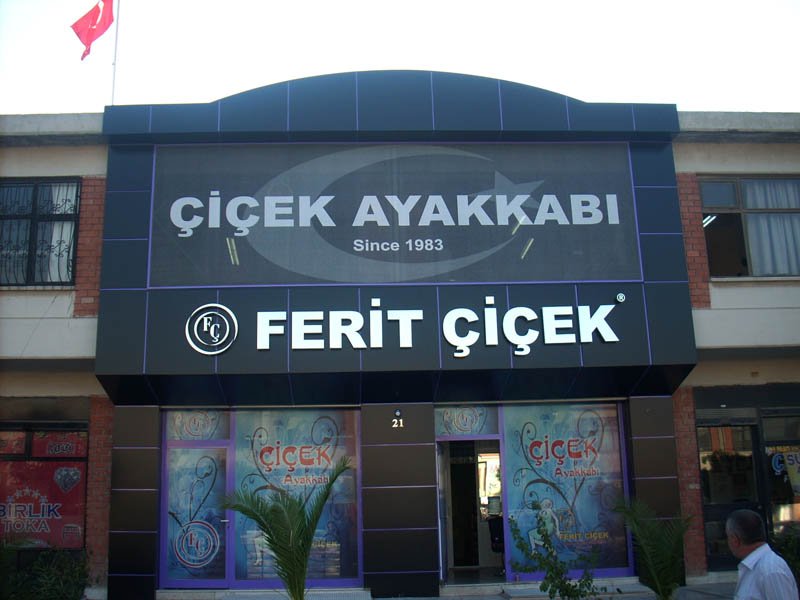 Phoca thumb l ferit iek