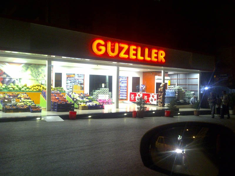 Phoca thumb l gzeller