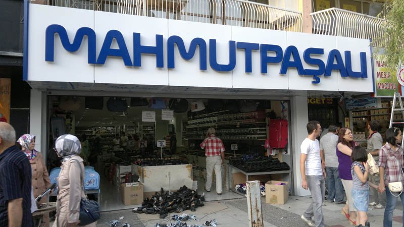 Phoca thumb l mahmutpaal1