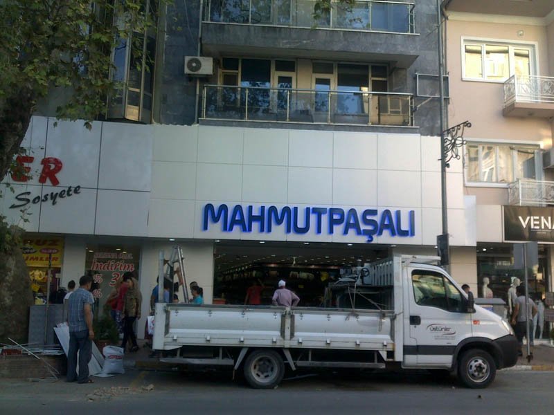 Phoca thumb l mahmutpaal2