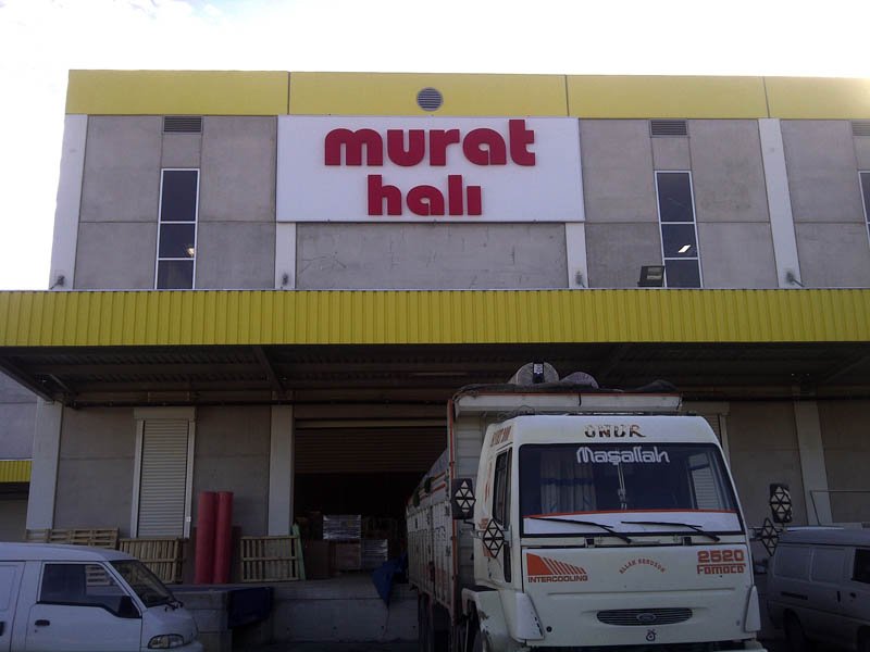 Phoca thumb l murat hal
