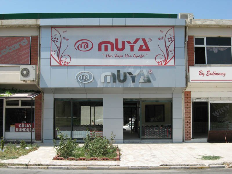 Phoca thumb l mya