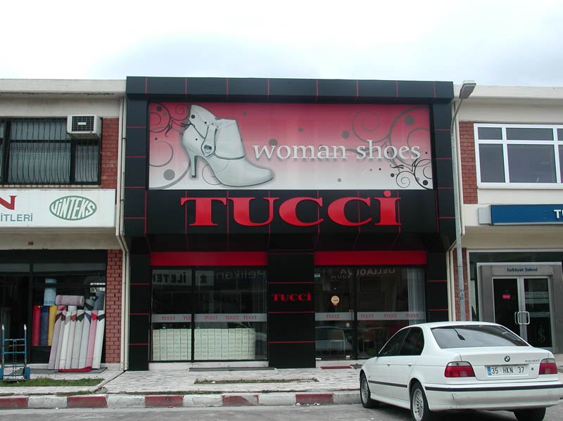 Phoca thumb l tucci